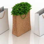 Kokias pakuotes rinktis ekologiškiems produktams