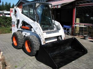 bobcatas